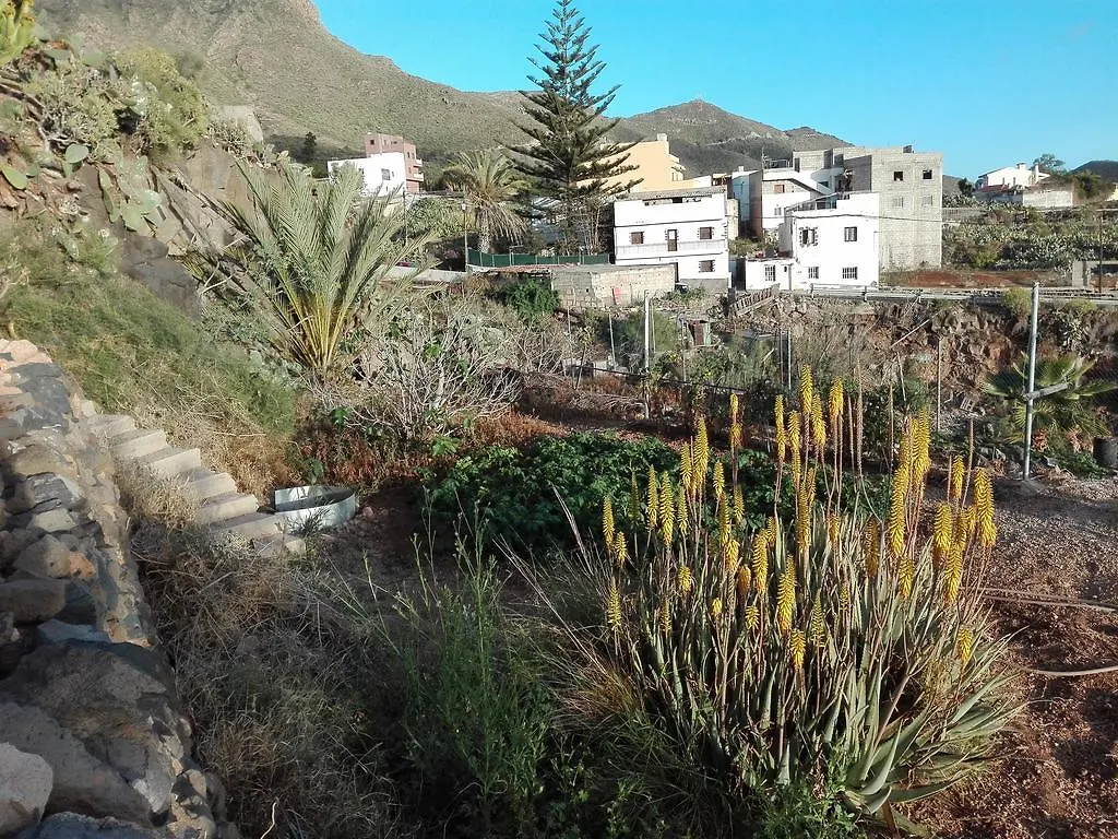 Apartment Finca Patio Canario Arona