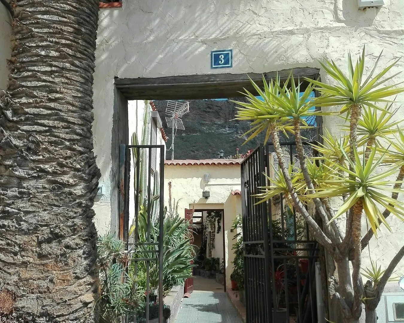 Finca Patio Canario Arona  Arona (Tenerife)